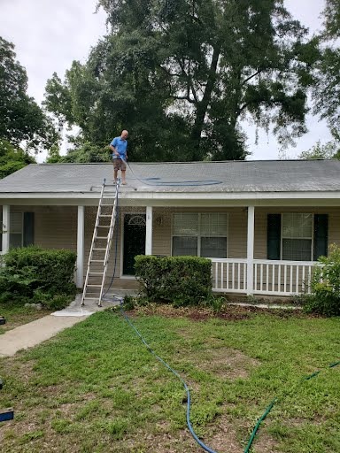 Roof Cleaning by Professional