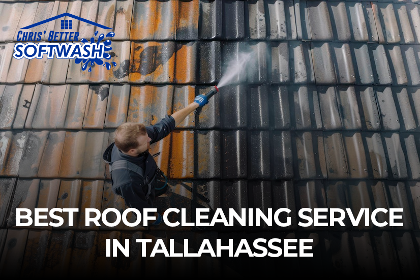 Best Roof Cleaning Service in Tallahassee