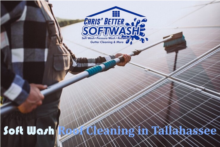 Soft Wash Roof Cleaning in Tallahassee