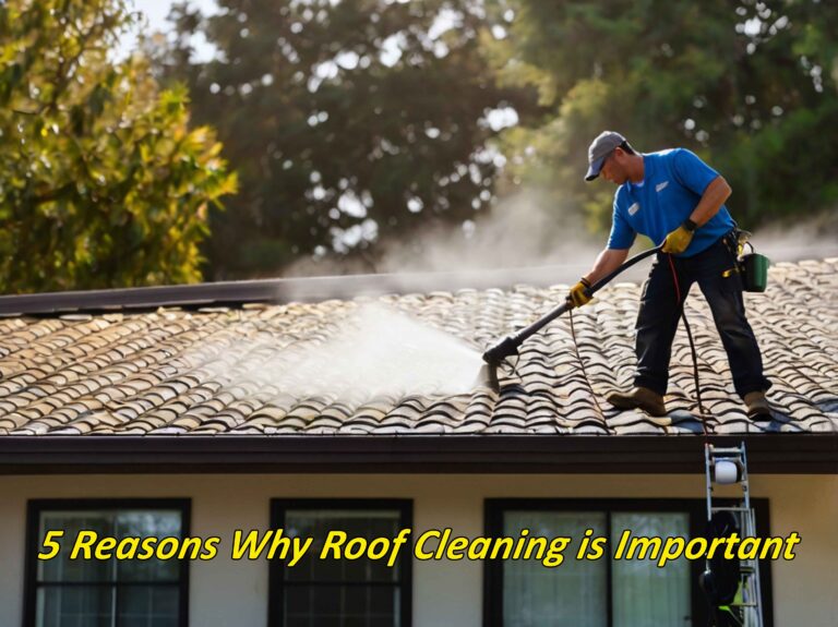 5 Reasons Why Roof Cleaning is Important