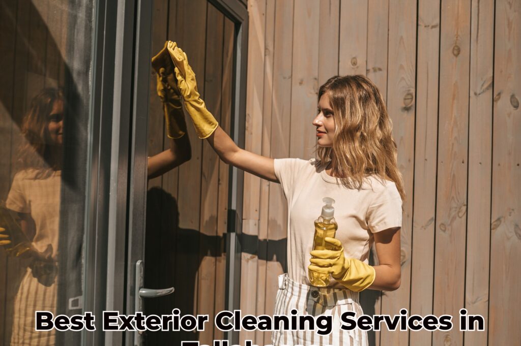 Best Exterior Cleaning Services in Tallahassee