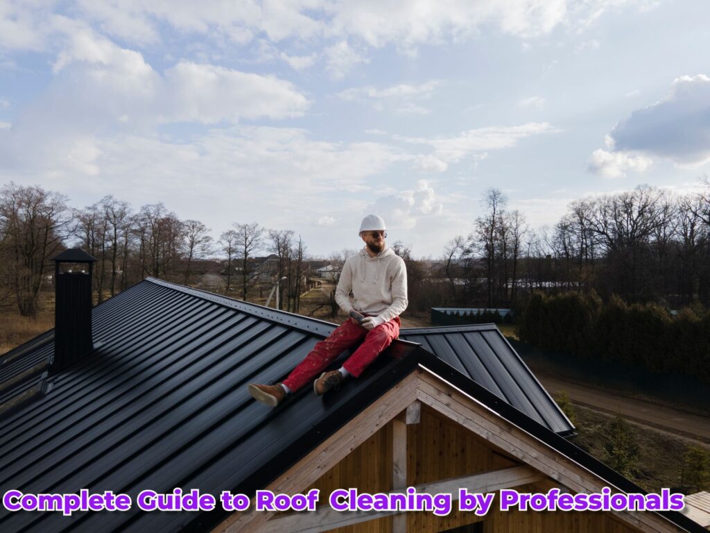 Complete Guide to Roof Cleaning by Professionals