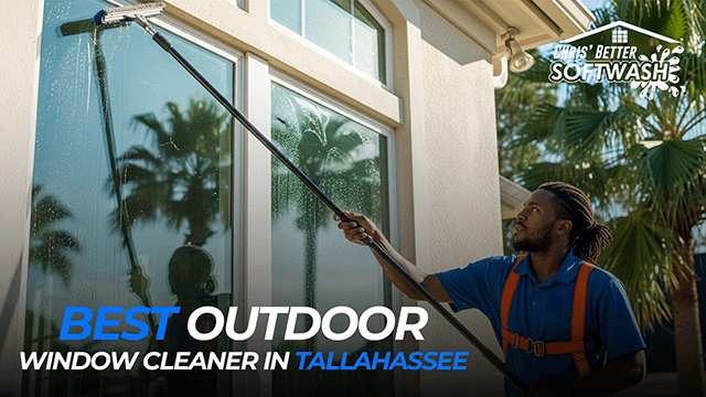 Why To Choose Best Outdoor Window Cleaner in Tallahassee